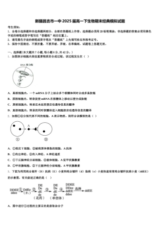 新疆昌吉市一中2025届高一下生物期末经典模拟试题含解析
