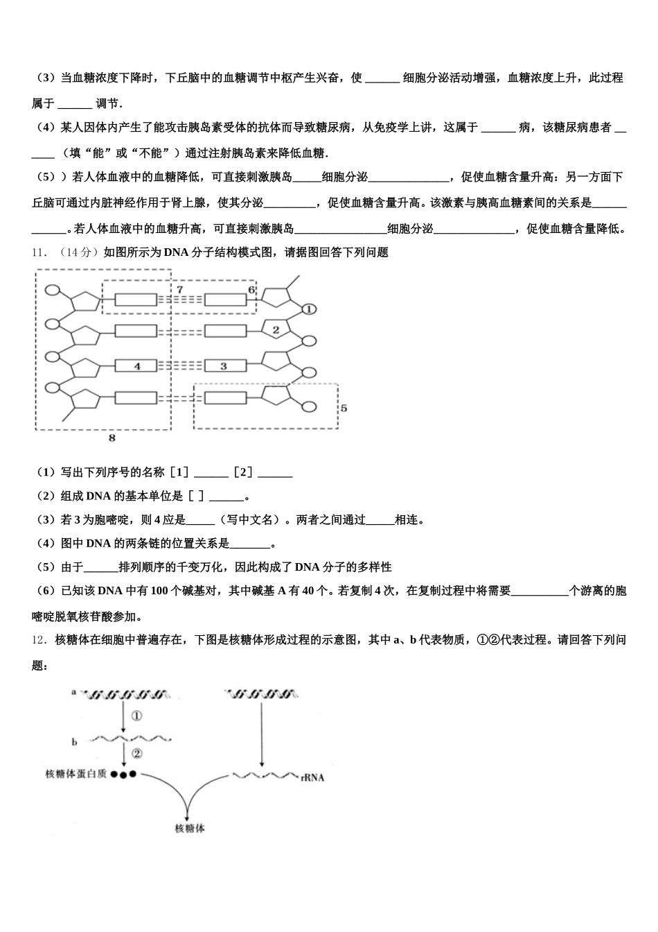 2024-2025学年新疆奎屯市一中生物高一第二学期期末监测试题含解析_第3页