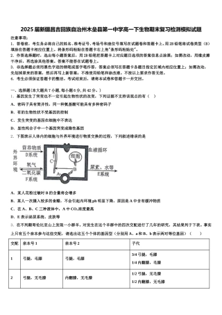 2025届新疆昌吉回族自治州木垒县第一中学高一下生物期末复习检测模拟试题含解析