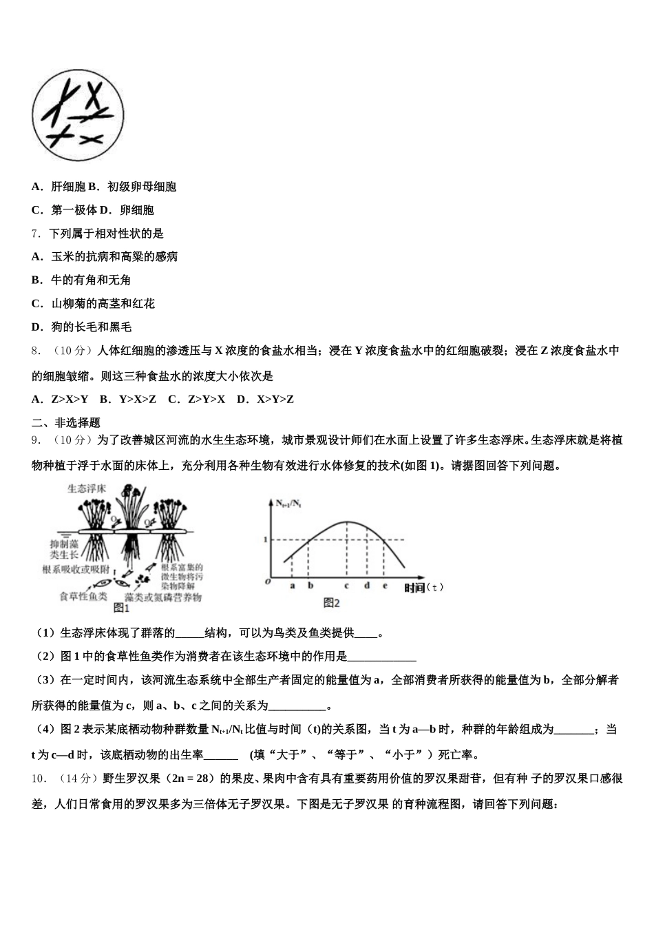 新疆库尔勒第二师华山中学2024-2025学年生物高一下期末检测模拟试题含解析_第2页