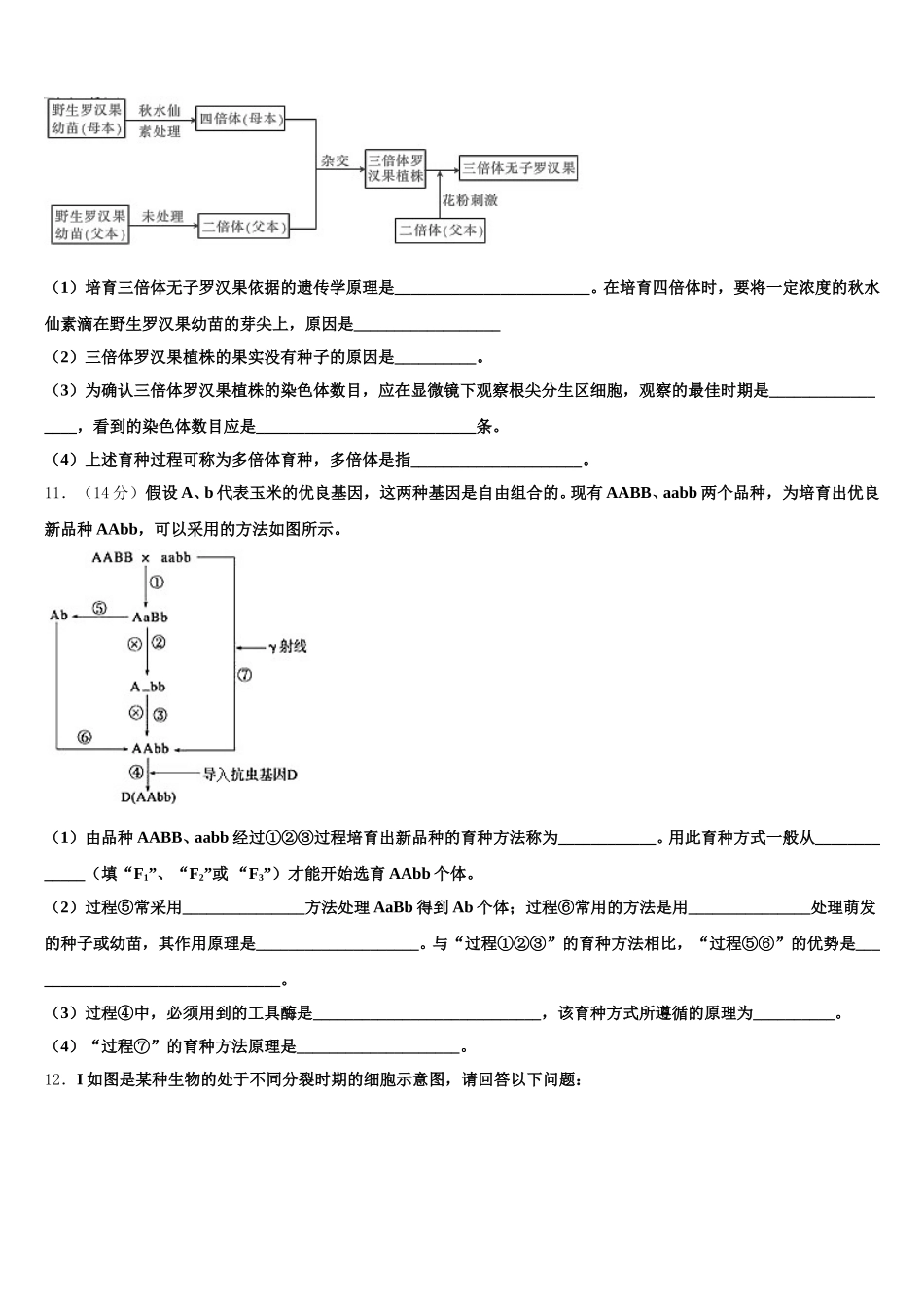 新疆库尔勒第二师华山中学2024-2025学年生物高一下期末检测模拟试题含解析_第3页