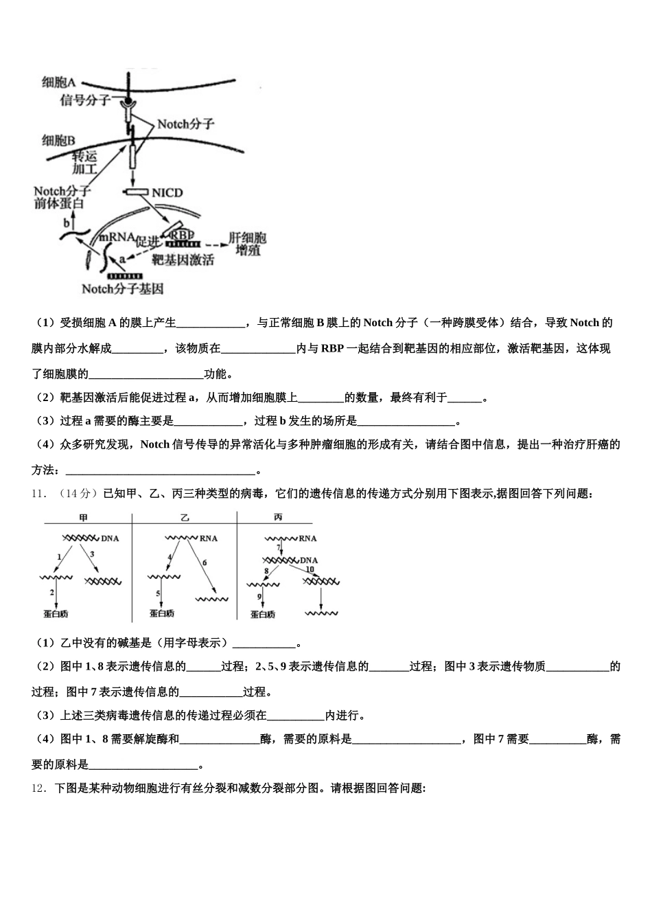 新疆兵团八师一四三团一中2025年高一下生物期末联考试题含解析_第3页