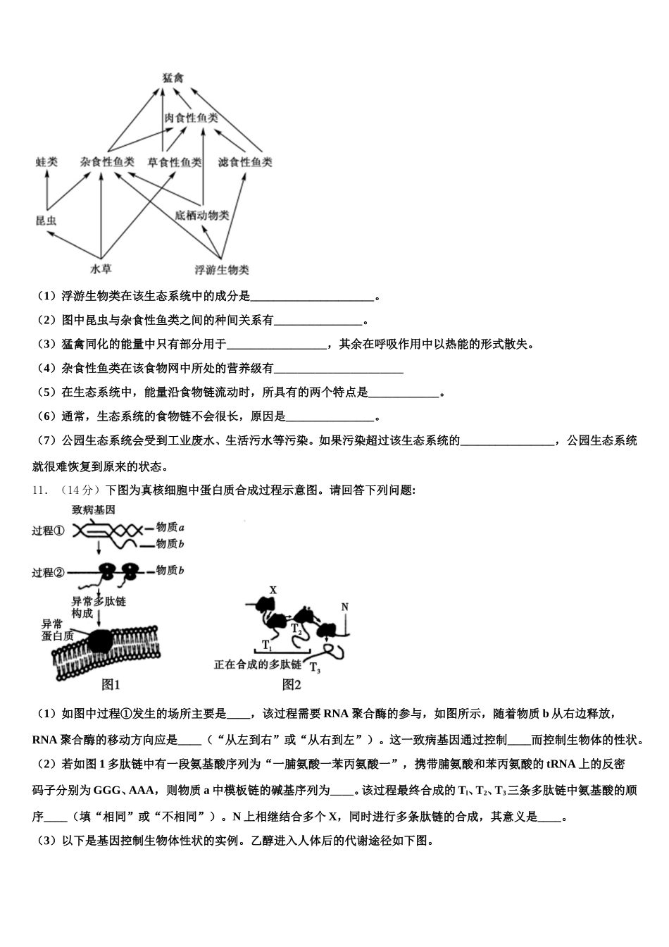 新疆昌吉市2025届生物高一下期末监测试题含解析_第3页