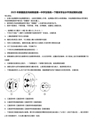 2025年新疆昌吉玛纳斯县第一中学生物高一下期末学业水平测试模拟试题含解析