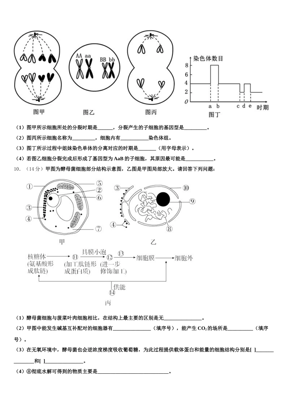 新疆库车县乌尊镇中学2025届生物高一第二学期期末综合测试试题含解析_第3页
