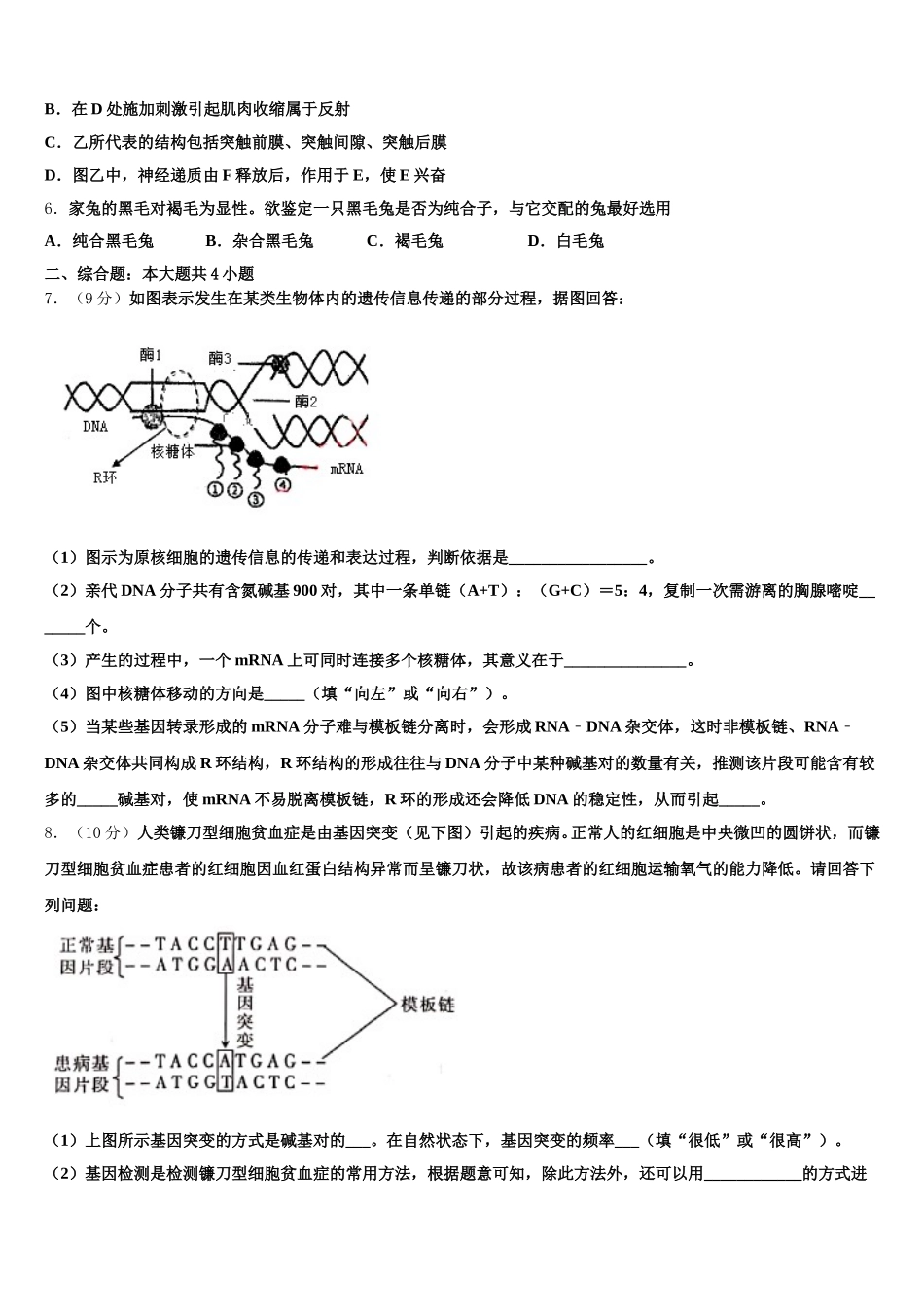 新疆伊宁生产建设兵团五校联考2024-2025学年生物高一下期末教学质量检测试题含解析_第2页
