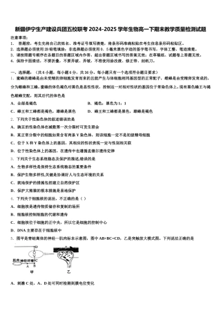 新疆伊宁生产建设兵团五校联考2024-2025学年生物高一下期末教学质量检测试题含解析