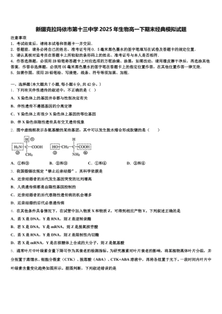 新疆克拉玛依市第十三中学2025年生物高一下期末经典模拟试题含解析