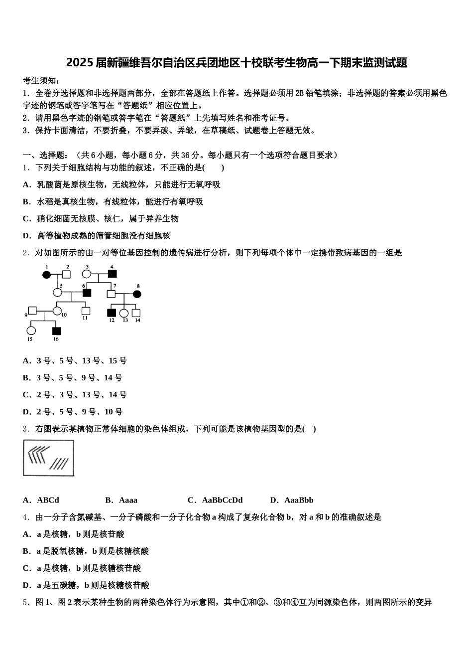 2025届新疆维吾尔自治区兵团地区十校联考生物高一下期末监测试题含解析_第1页