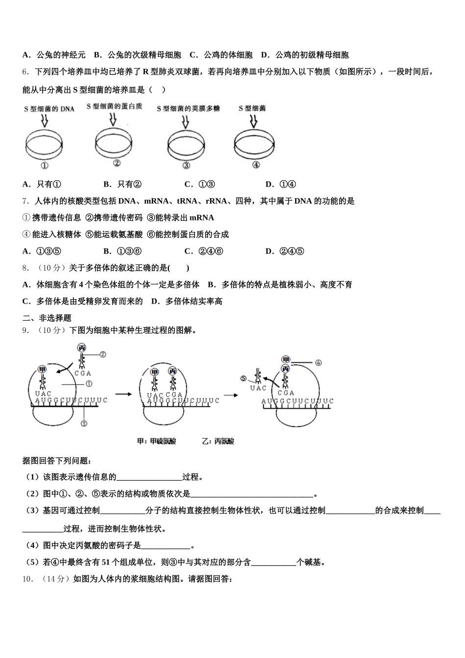 2024-2025学年新疆生产建设兵团农八师一四三团第一中学生物高一下期末统考模拟试题含解析_第2页