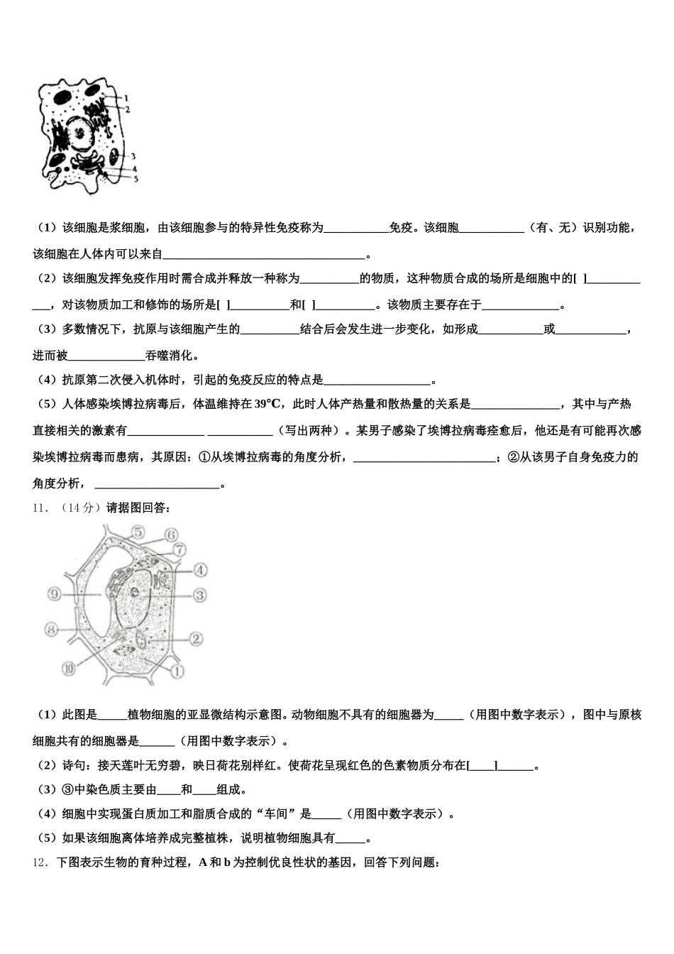2024-2025学年新疆生产建设兵团农八师一四三团第一中学生物高一下期末统考模拟试题含解析_第3页