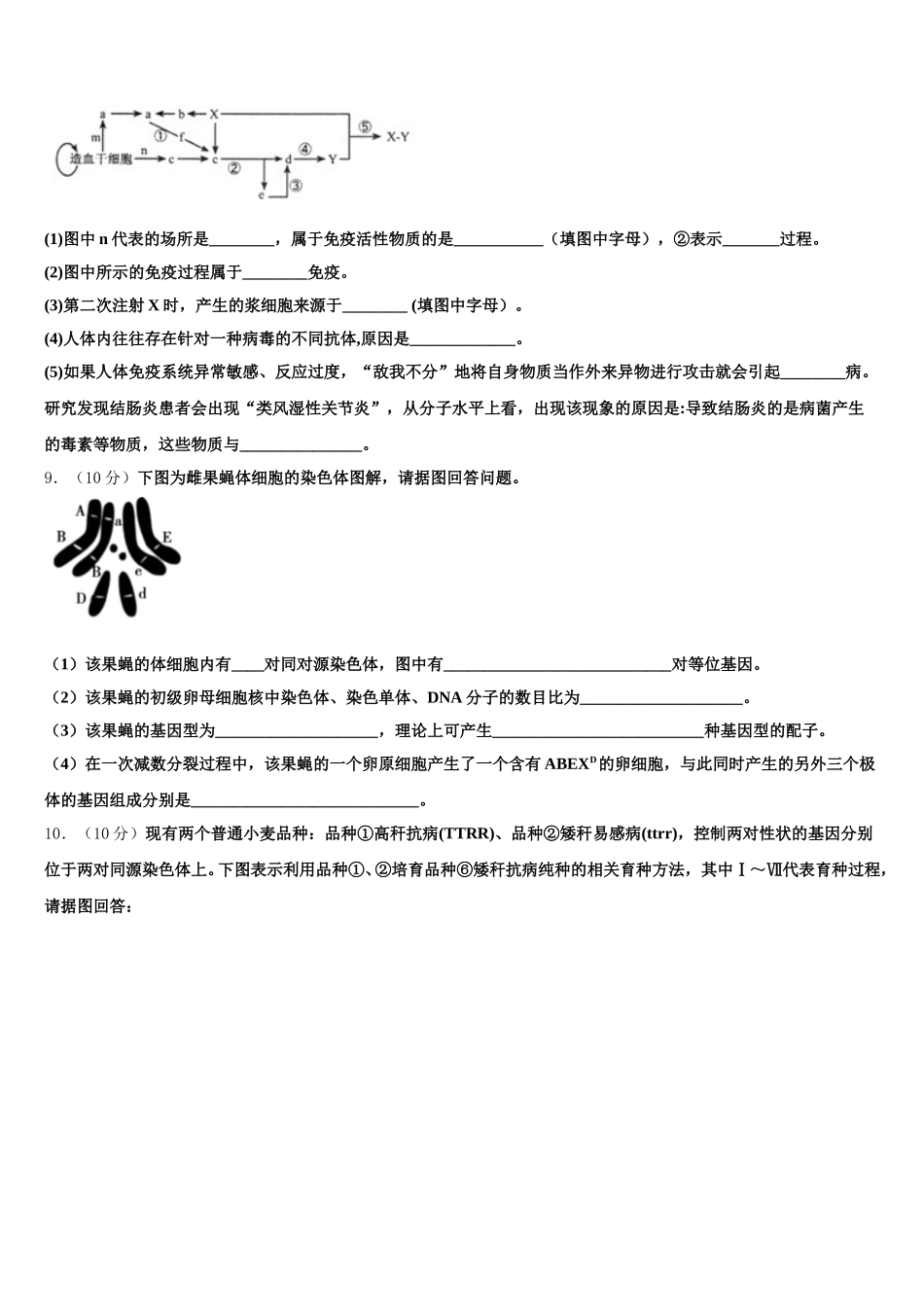 新疆乌鲁木齐市名校2025年高一下生物期末统考模拟试题含解析_第3页