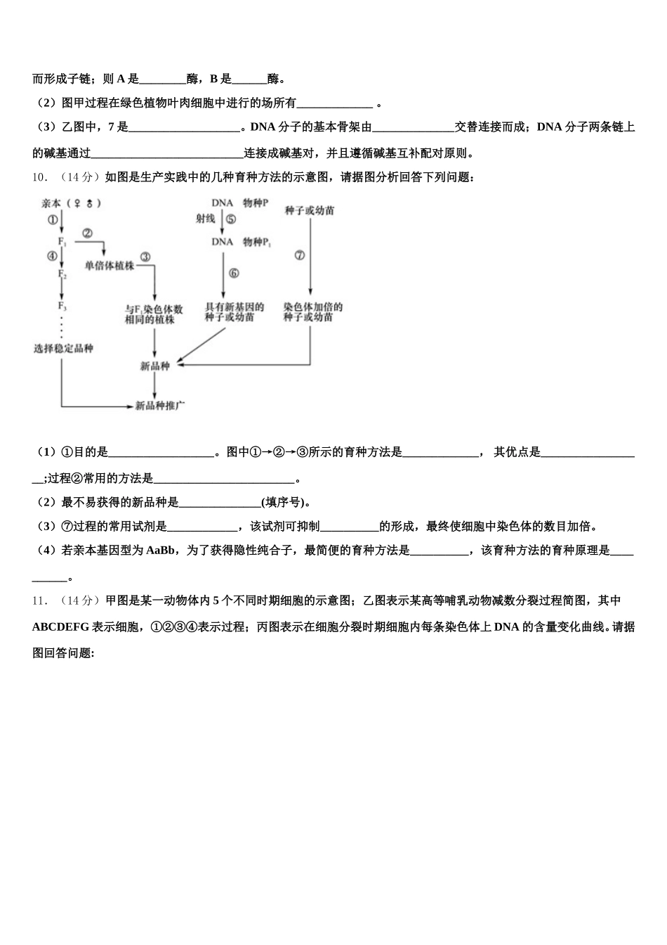 新疆和田地区2024-2025学年高一下生物期末达标检测试题含解析_第3页