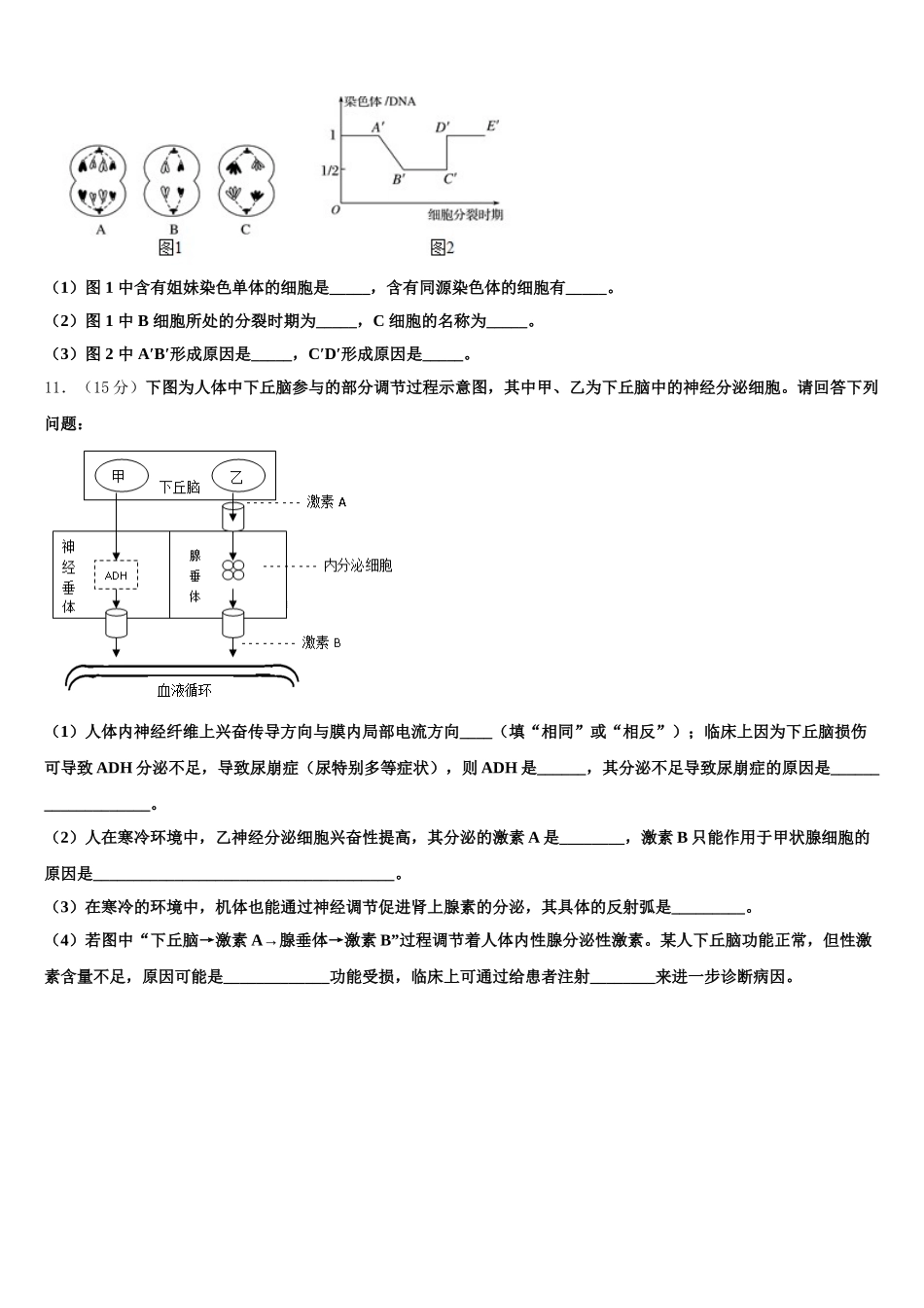 新疆阿克苏地区阿瓦提县第四中学2024-2025学年生物高一下期末复习检测模拟试题含解析_第3页