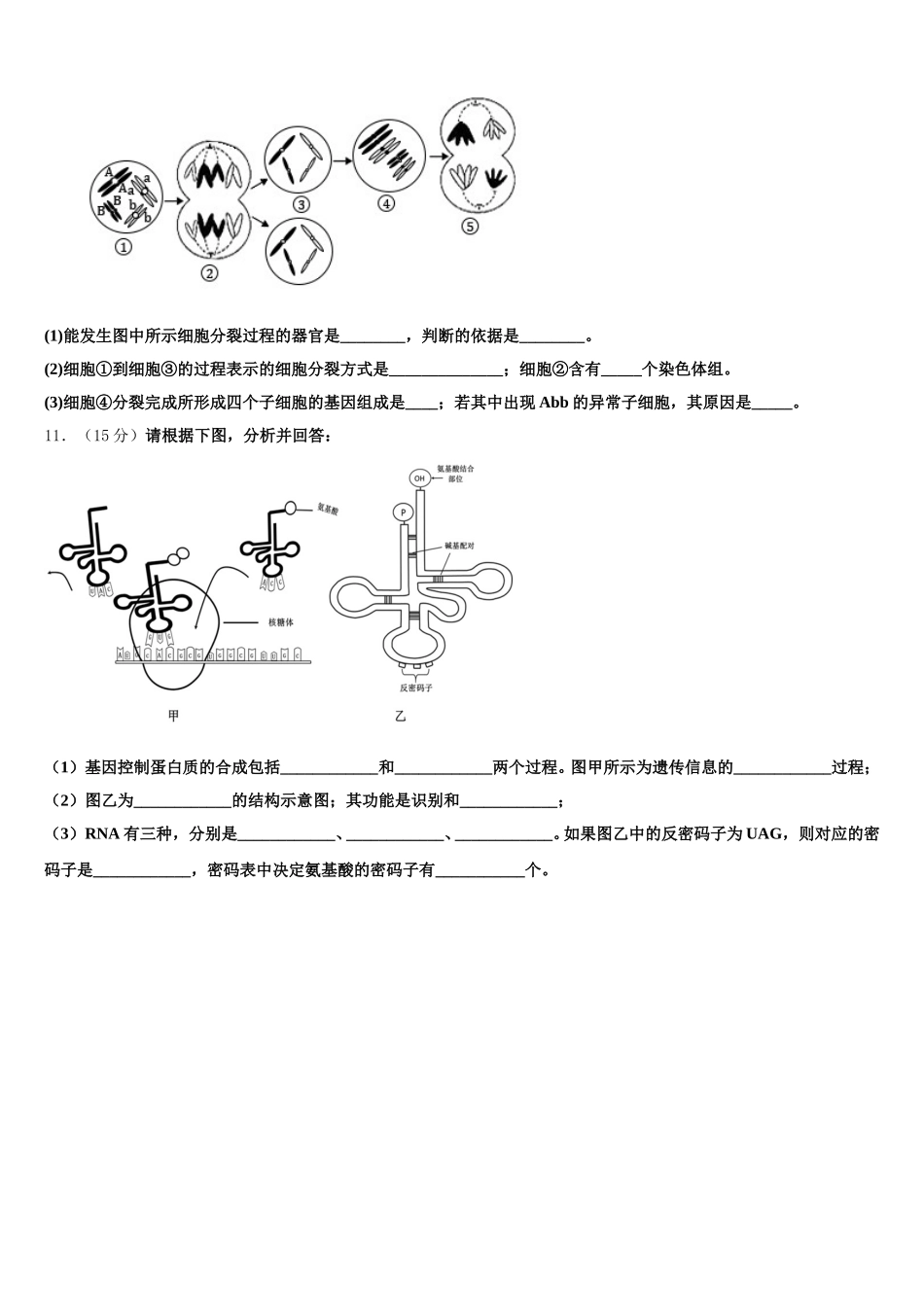 新疆乌鲁木齐市第十中学2024-2025学年生物高一第二学期期末调研试题含解析_第3页