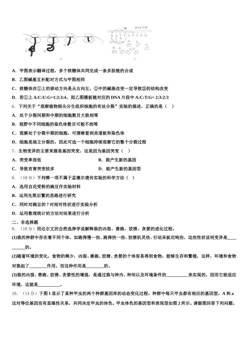 2025届新疆巴楚县第一中学高一生物第二学期期末考试模拟试题含解析_第2页