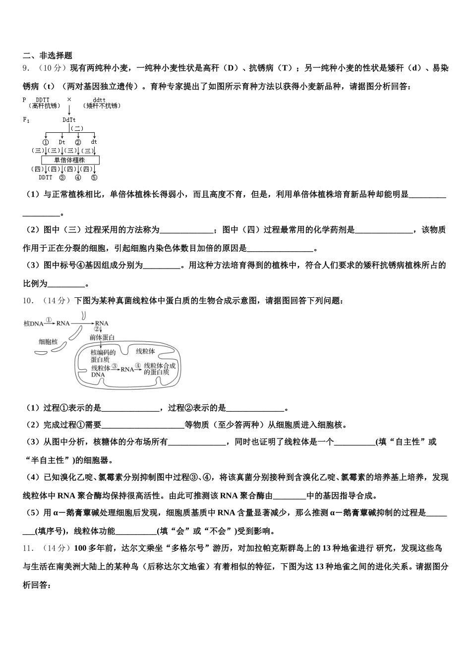 2025年新疆阿勒泰地区布尔津县高级中学高一生物第二学期期末质量检测试题含解析_第3页