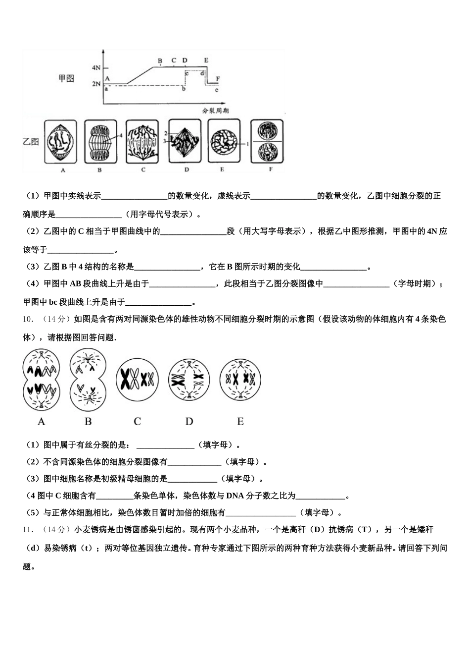 2024-2025学年新疆乌鲁木齐市第十中学生物高一第二学期期末考试试题含解析_第3页