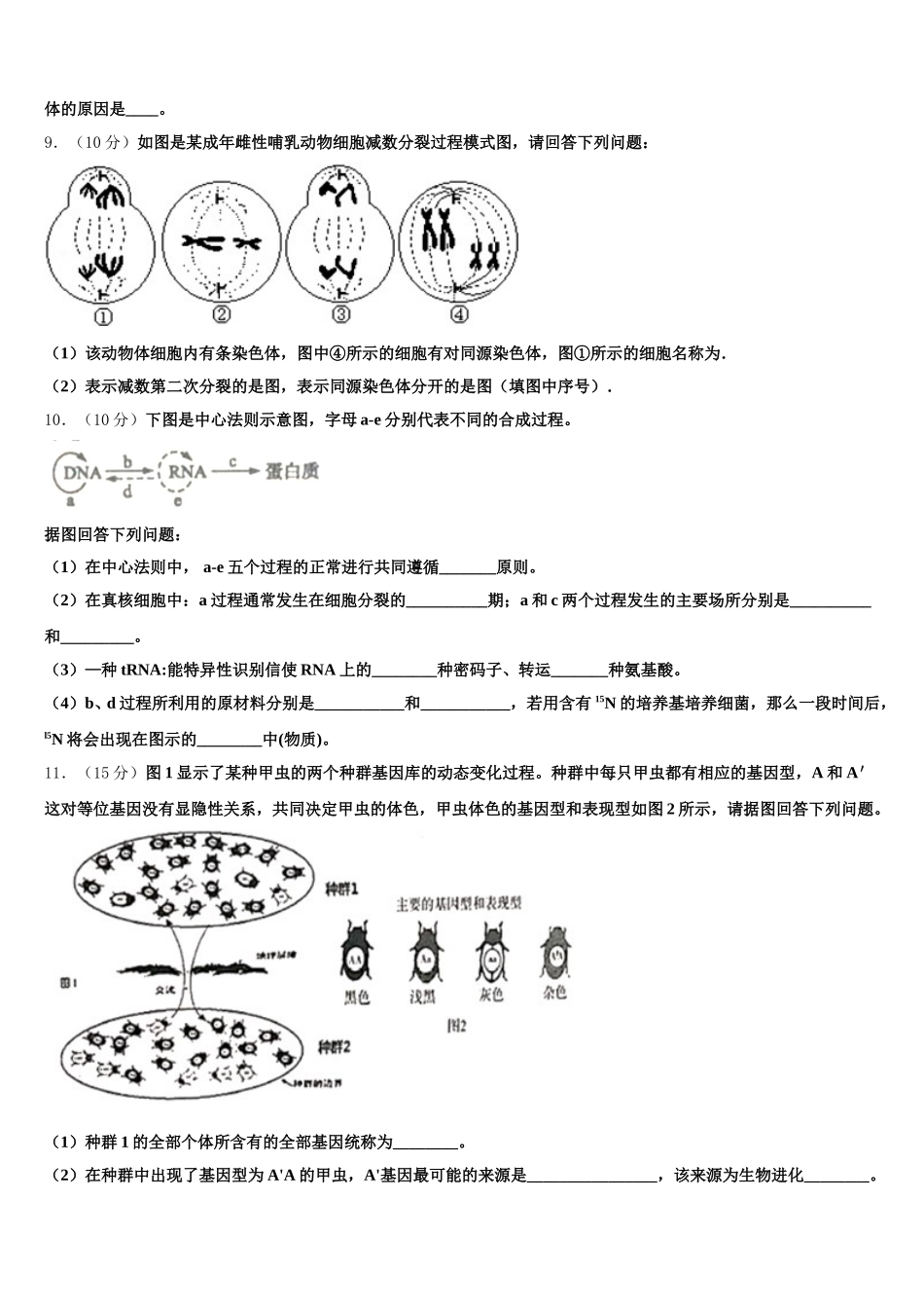 2024-2025学年新疆维吾尔自治区沙湾一中高一下生物期末质量跟踪监视模拟试题含解析_第3页