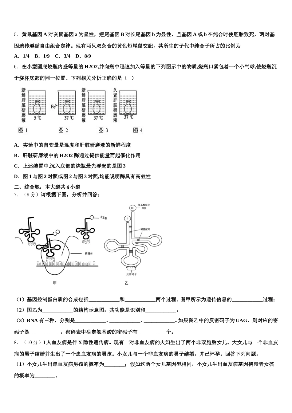 2025年新疆昌吉回族自治州九中生物高一下期末联考试题含解析_第2页