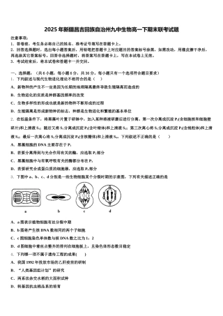 2025年新疆昌吉回族自治州九中生物高一下期末联考试题含解析
