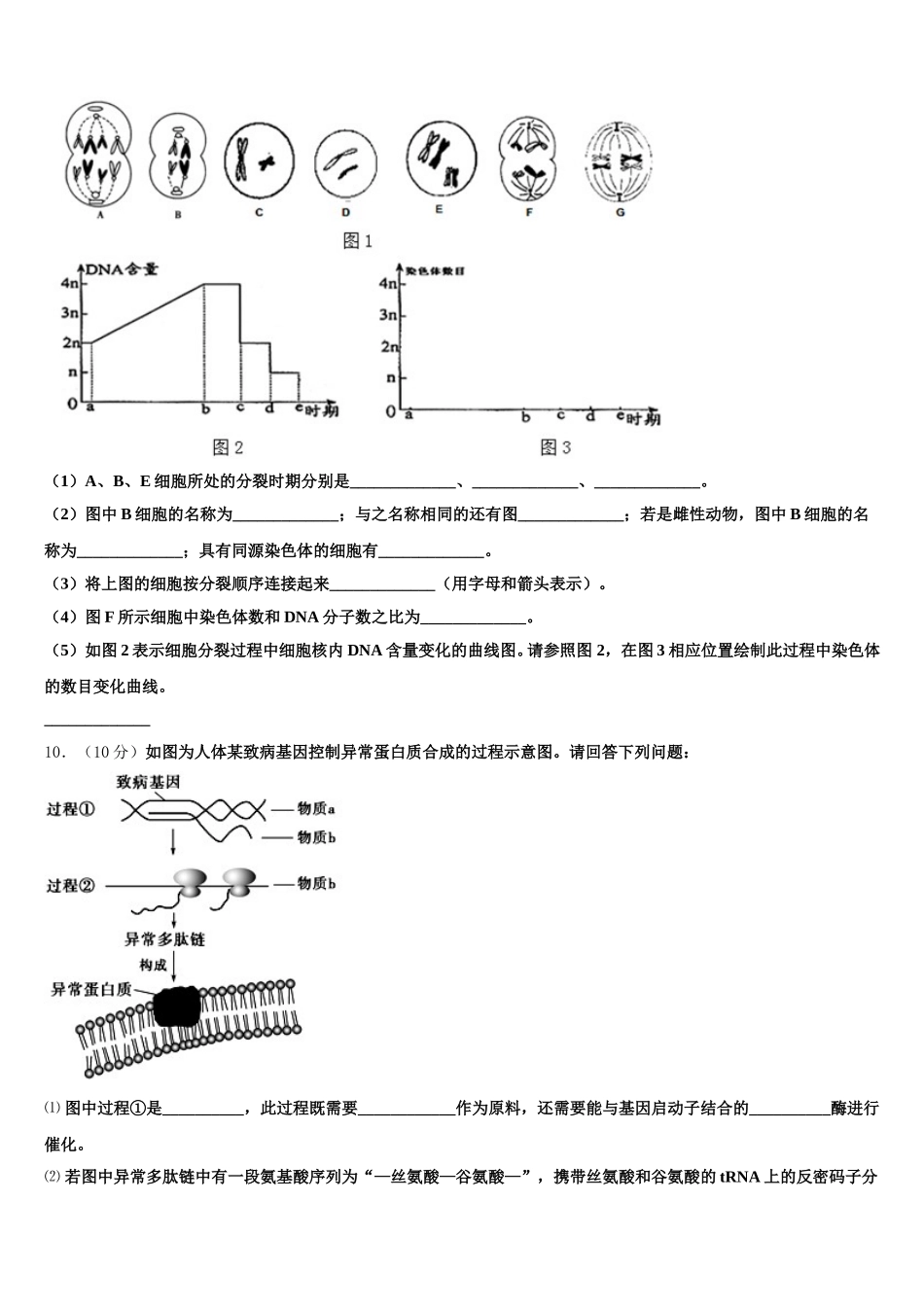 新疆巴州第三中学2025届生物高一下期末达标测试试题含解析_第3页