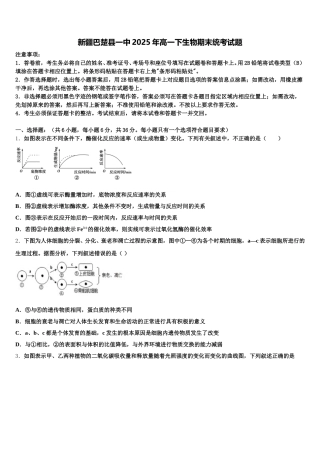 新疆巴楚县一中2025年高一下生物期末统考试题含解析