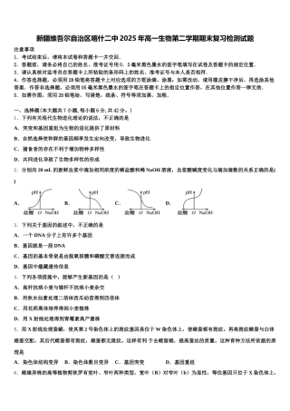新疆维吾尔自治区喀什二中2025年高一生物第二学期期末复习检测试题含解析