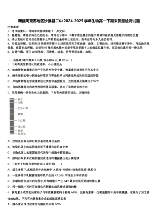 新疆阿克苏地区沙雅县二中2024-2025学年生物高一下期末质量检测试题含解析