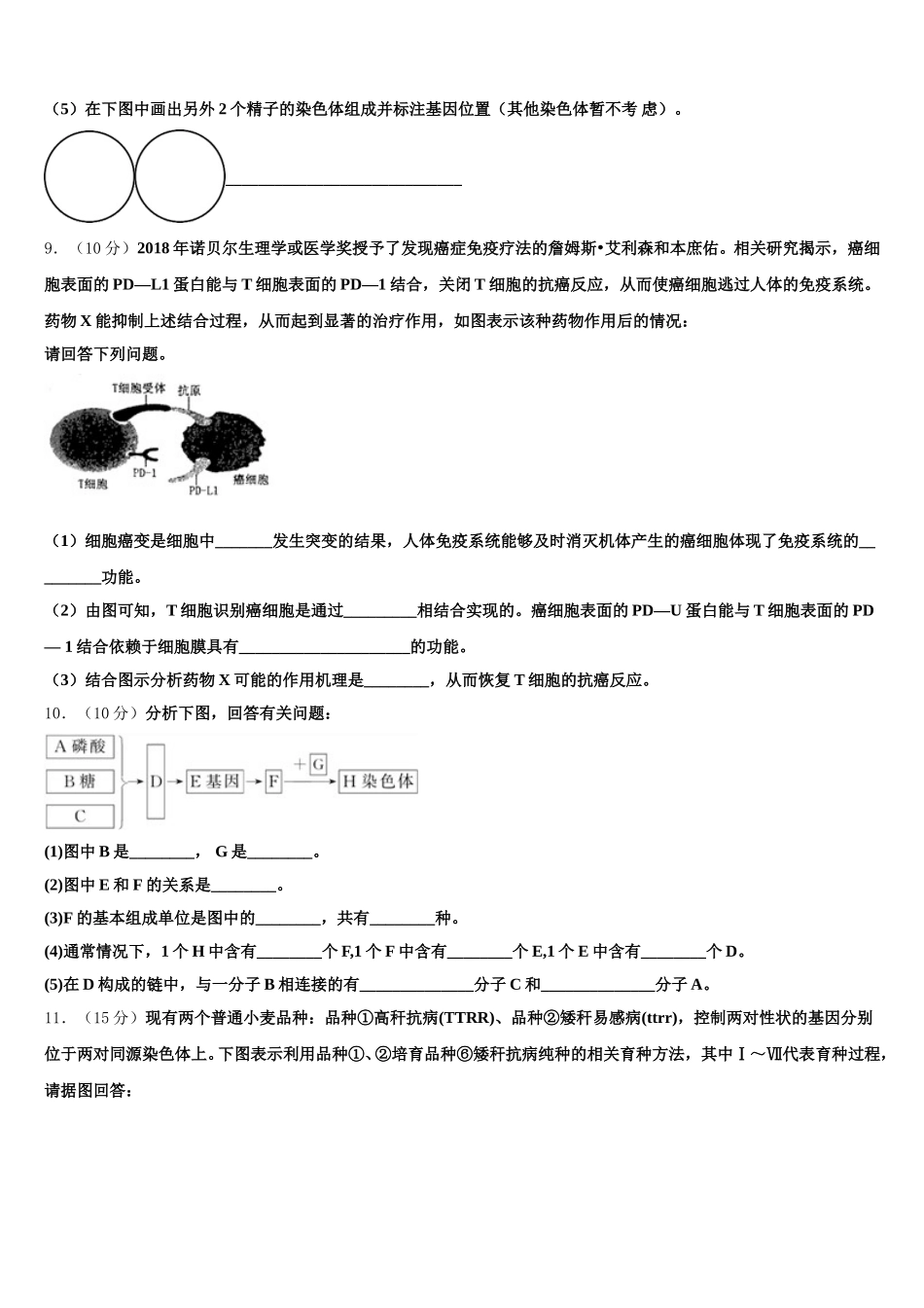 2024-2025学年新疆哈密市十五中生物高一下期末监测模拟试题含解析_第3页