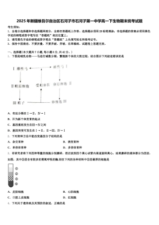 2025年新疆维吾尔自治区石河子市石河子第一中学高一下生物期末统考试题含解析