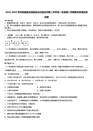 2024-2025学年新疆昌吉回族自治州昌吉州第二中学高一生物第二学期期末质量检测试题含解析