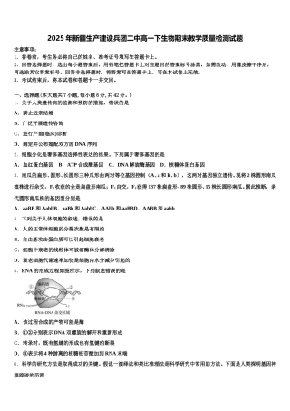 2025年新疆生产建设兵团二中高一下生物期末教学质量检测试题含解析