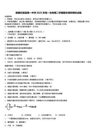 新疆巴楚县第一中学2025年高一生物第二学期期末调研模拟试题含解析