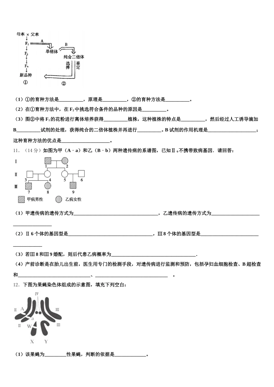 2025年新疆阿克苏地区沙雅县第二中学高一下生物期末考试模拟试题含解析_第3页
