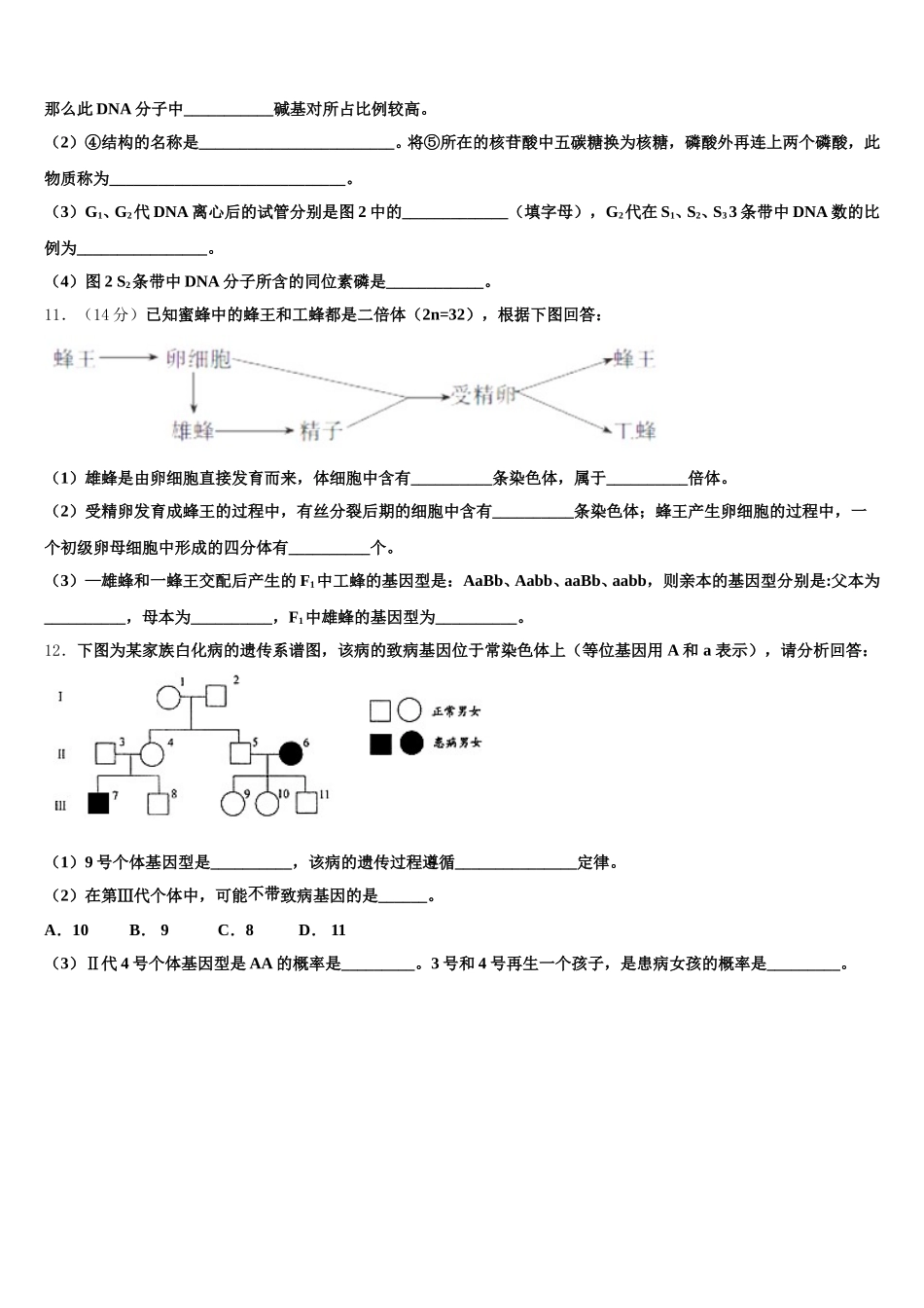 新疆生产建设兵团农八师一四三团第一中学2025年高一下生物期末学业水平测试试题含解析_第3页