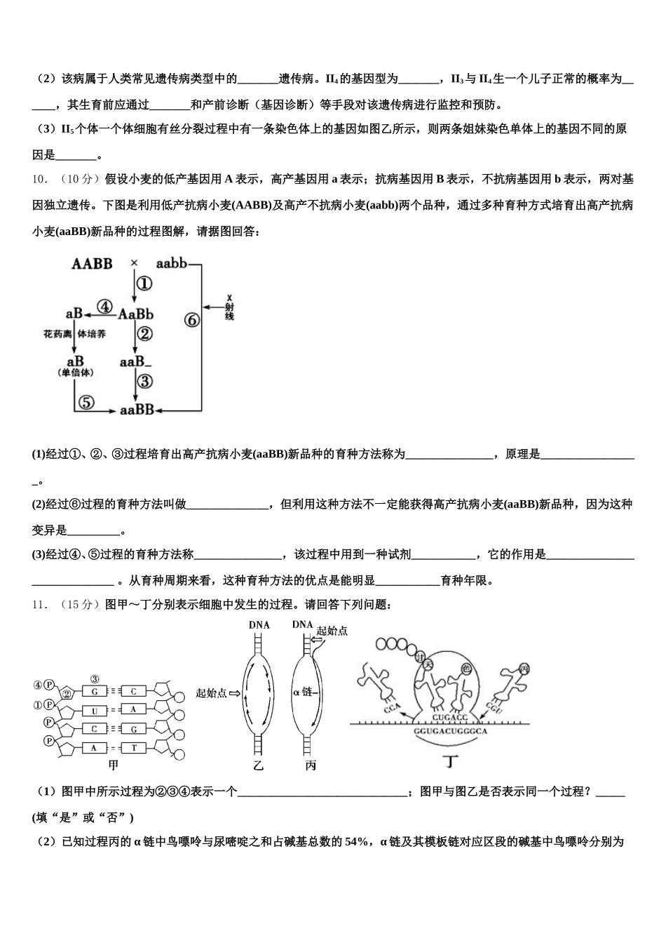 新疆乌鲁木齐市2024-2025学年生物高一第二学期期末达标检测模拟试题含解析_第3页
