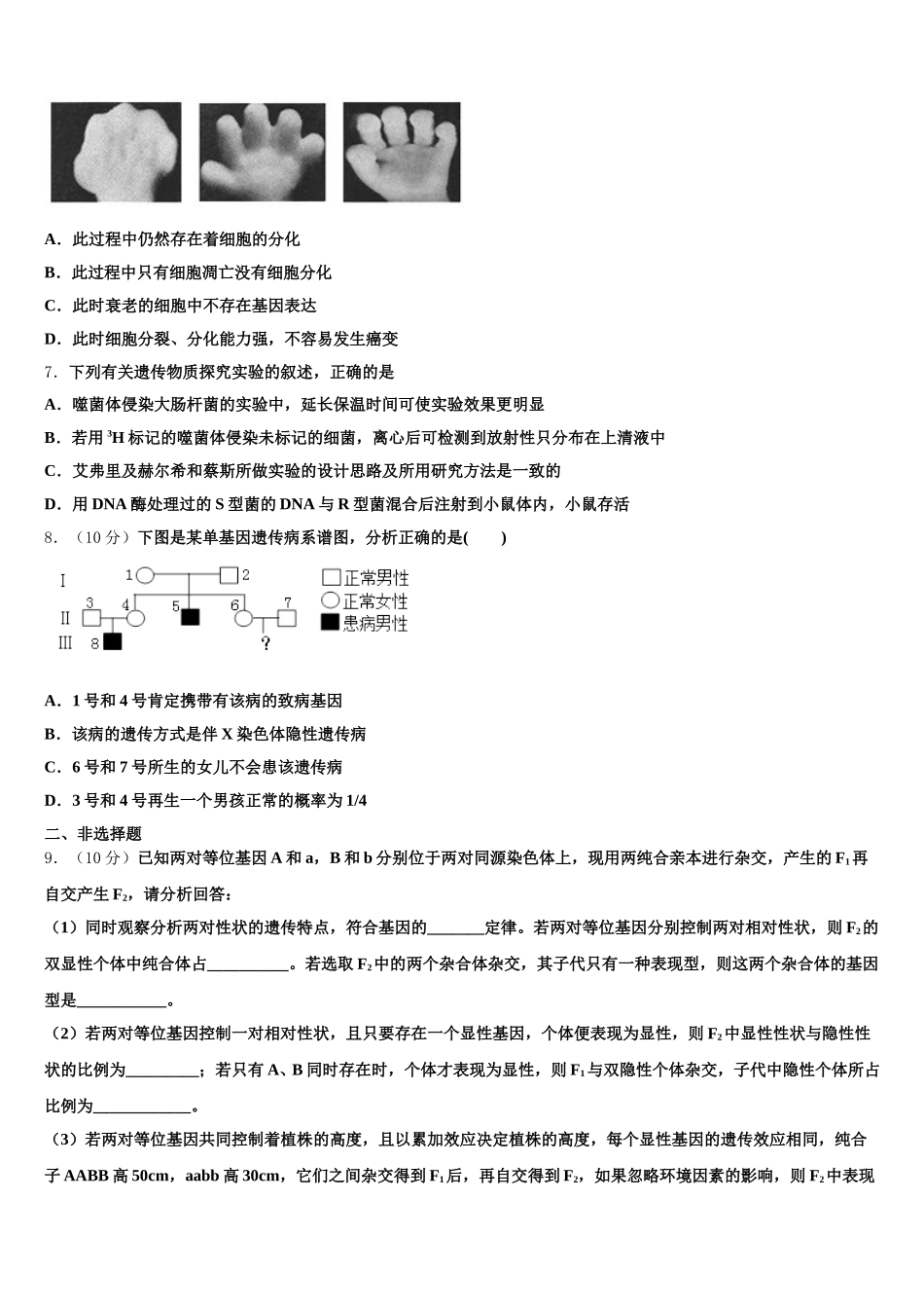 新疆库尔勒市第四中学2025届高一生物第二学期期末复习检测模拟试题含解析_第2页
