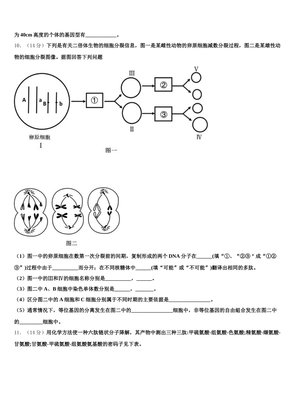 新疆库尔勒市第四中学2025届高一生物第二学期期末复习检测模拟试题含解析_第3页