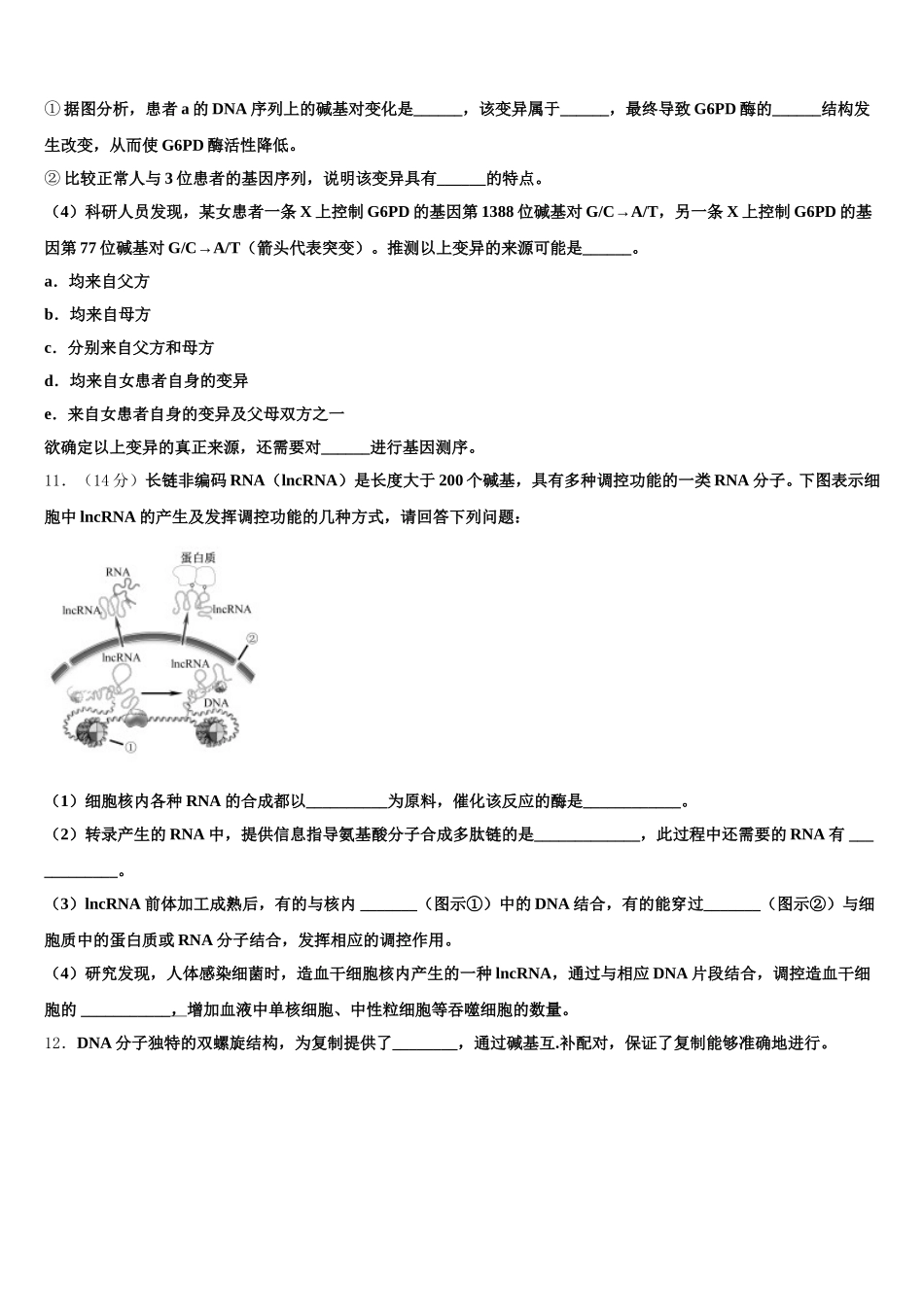 新疆维吾尔自治区兵团地区十校联考2025年高一生物第二学期期末质量跟踪监视模拟试题含解析_第3页