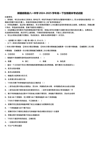 新疆疏勒县八一中学2024-2025学年高一下生物期末考试试题含解析