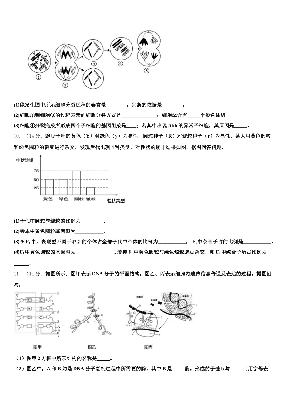 2025年新疆维吾尔自治区兵团地区十校联考高一下生物期末教学质量检测模拟试题含解析_第3页
