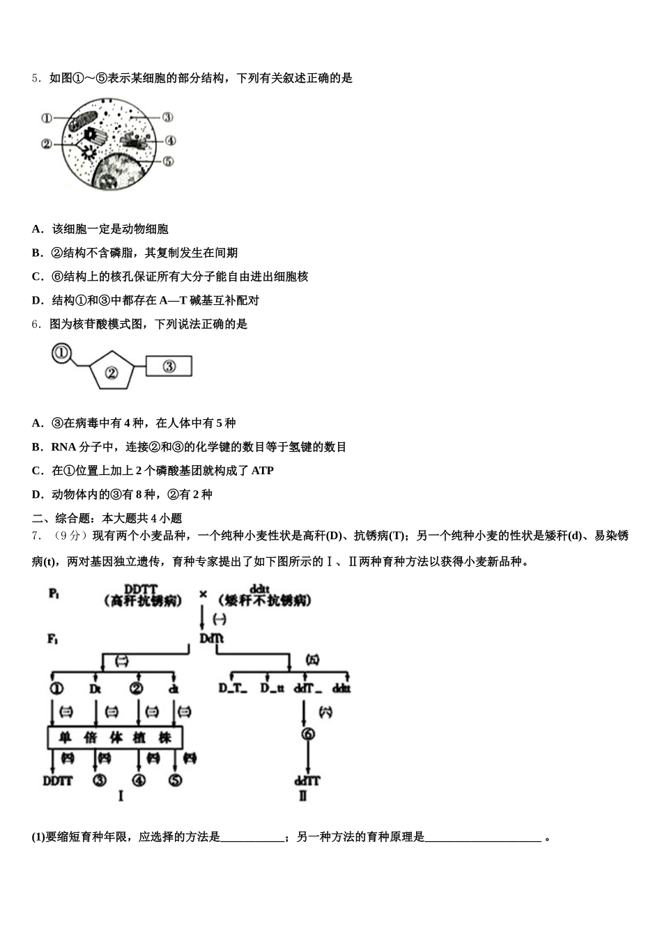 新疆阿克苏地区沙雅县二中2025年生物高一第二学期期末综合测试试题含解析_第2页
