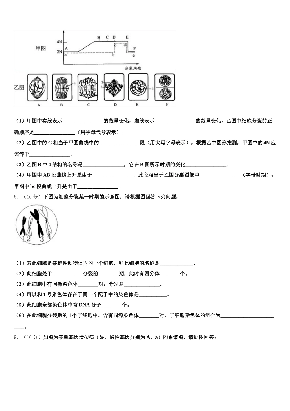 2024-2025学年新疆石河子高级中学高一下生物期末复习检测模拟试题含解析_第3页