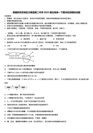 新疆阿克苏地区沙雅县第二中学2025届生物高一下期末检测模拟试题含解析