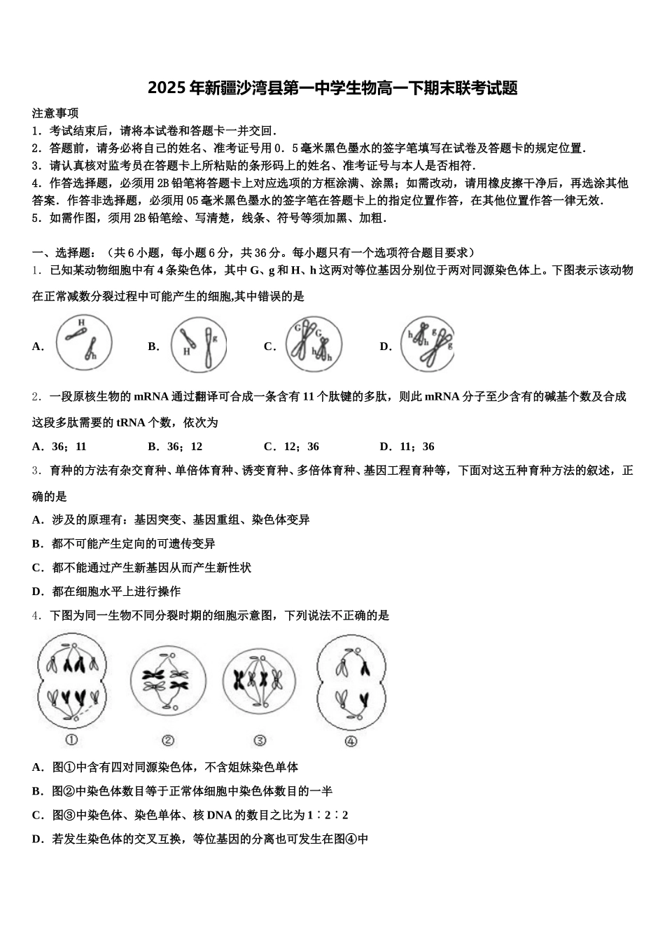 2025年新疆沙湾县第一中学生物高一下期末联考试题含解析_第1页