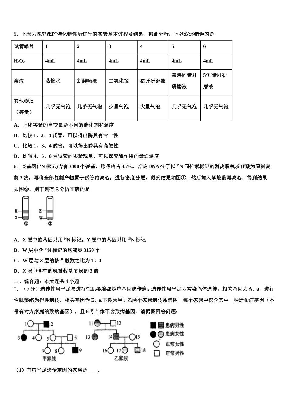 2025年新疆沙湾县第一中学生物高一下期末联考试题含解析_第2页