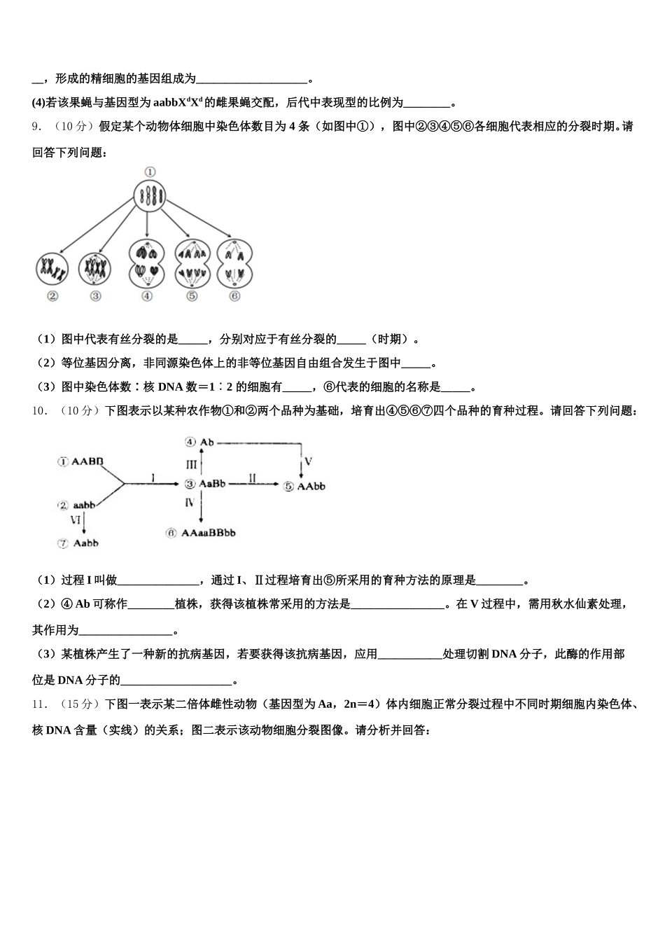新疆乌鲁木齐市第101中学2025届高一生物第二学期期末联考试题含解析_第3页