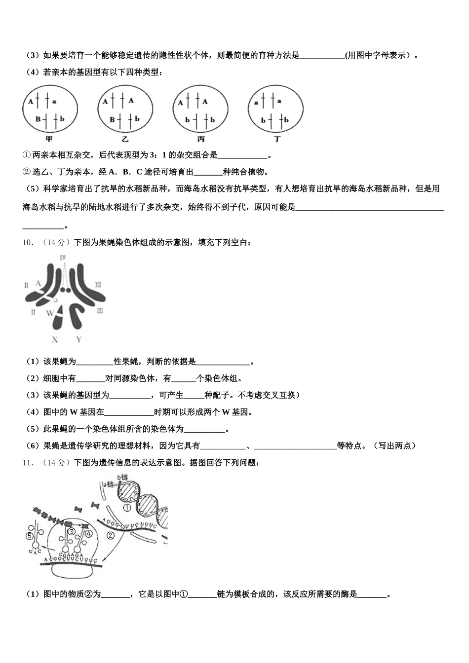 新疆师范大学附属实验高中2025届高一下生物期末经典试题含解析_第3页
