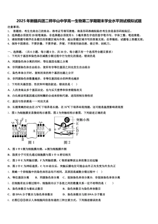 2025年新疆兵团二师华山中学高一生物第二学期期末学业水平测试模拟试题含解析